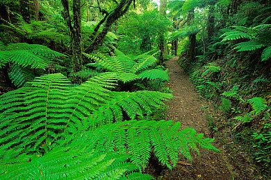 恐怖冒险游戏《不要害怕》PS4版将于今日发售 官方发布预告片